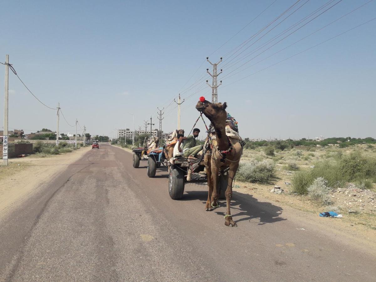 Desert Sun Homestay Bikaner Extérieur photo